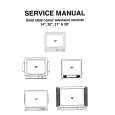 DANSAI CTV9313 Manual de Servicio